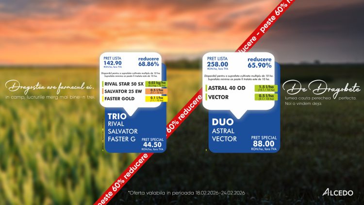 De Dragobete, perechile care funcționează în câmp, soluțiile complete ALCEDO pentru porumb și grâu
